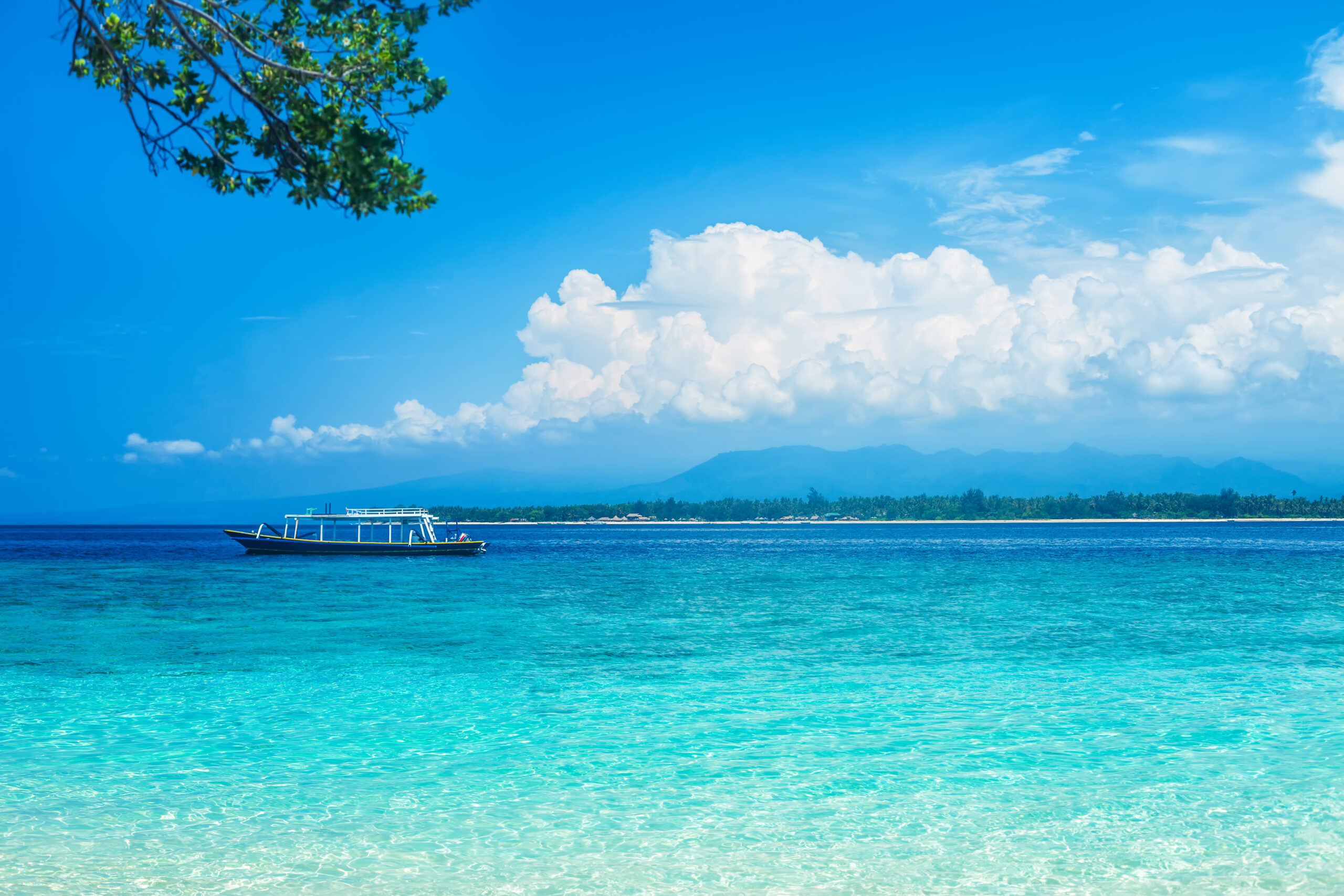 STEP1 デザインを選ぶ｜士業向けホームページ制作の流れ