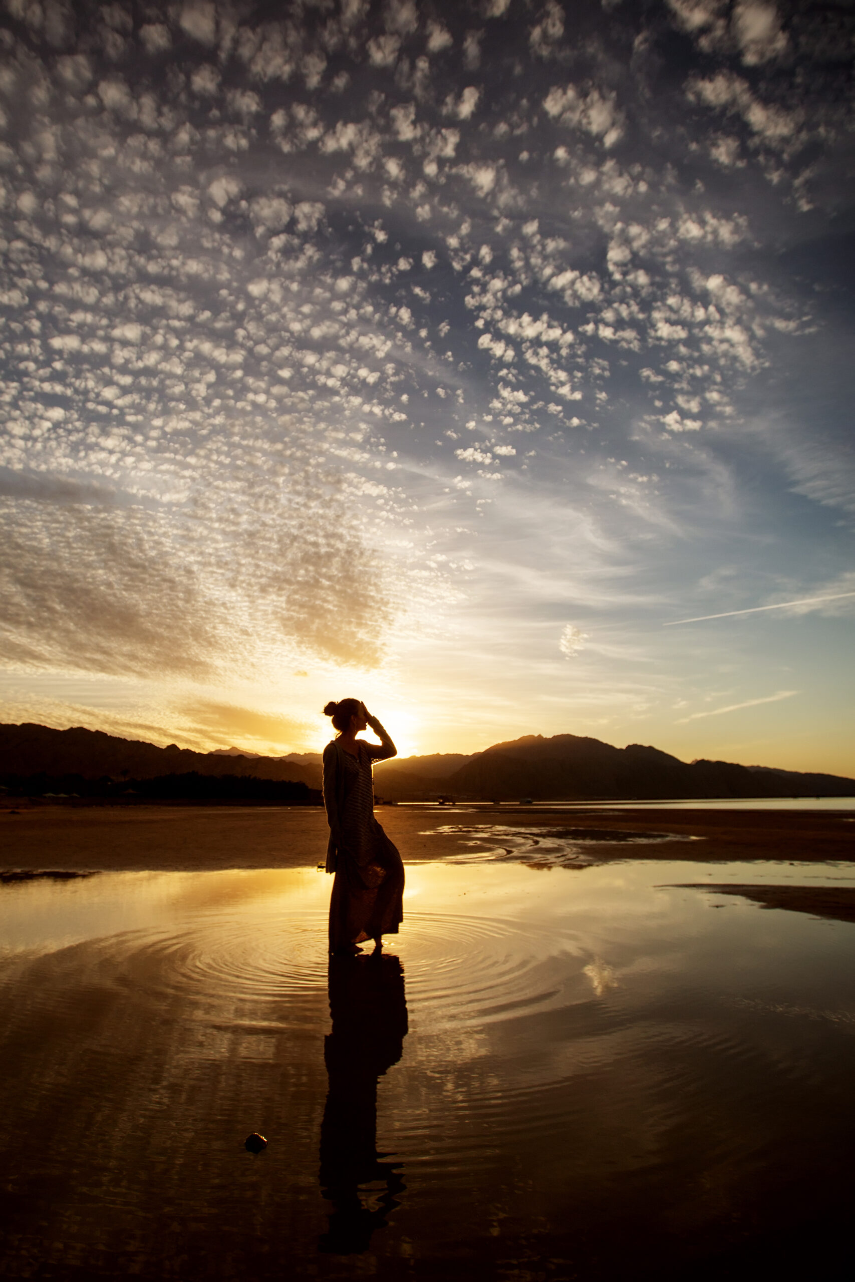 士業専門ホームページ制作（月額2,200円・全国対応）